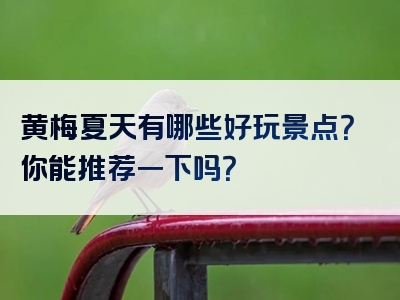 黄梅夏天有哪些好玩景点？你能推荐一下吗？