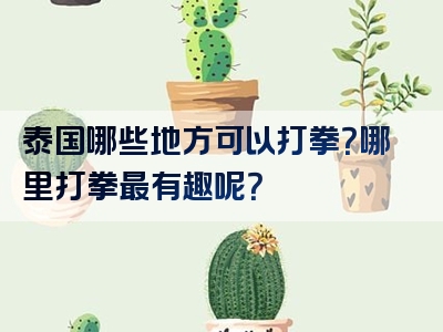 泰国哪些地方可以打拳？哪里打拳最有趣呢？