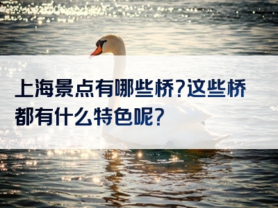 上海景点有哪些桥？这些桥都有什么特色呢？