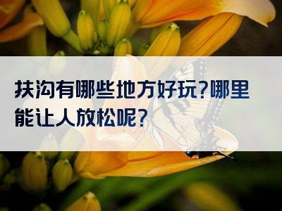 扶沟有哪些地方好玩？哪里能让人放松呢？