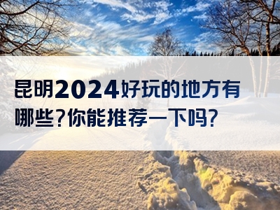 昆明2024好玩的地方有哪些？你能推荐一下吗？