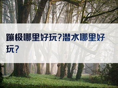 蹦极哪里好玩？潜水哪里好玩？