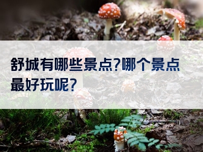 舒城有哪些景点？哪个景点最好玩呢？