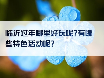 临沂过年哪里好玩呢？有哪些特色活动呢？