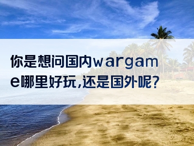 你是想问国内wargame哪里好玩，还是国外呢？