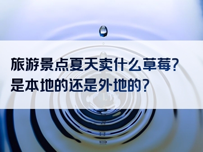 旅游景点夏天卖什么草莓？是本地的还是外地的？