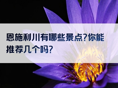 恩施利川有哪些景点？你能推荐几个吗？