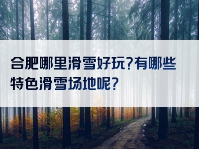 合肥哪里滑雪好玩？有哪些特色滑雪场地呢？