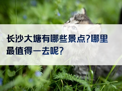 长沙大塘有哪些景点？哪里最值得一去呢？