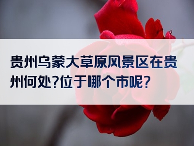 贵州乌蒙大草原风景区在贵州何处？位于哪个市呢？