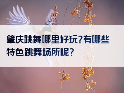 肇庆跳舞哪里好玩？有哪些特色跳舞场所呢？