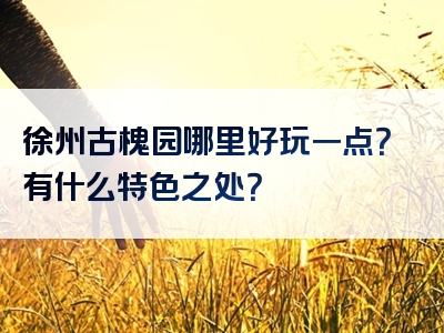 徐州古槐园哪里好玩一点？有什么特色之处？
