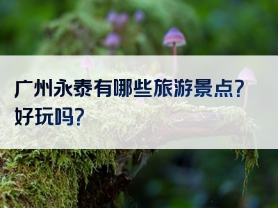 广州永泰有哪些旅游景点？好玩吗？