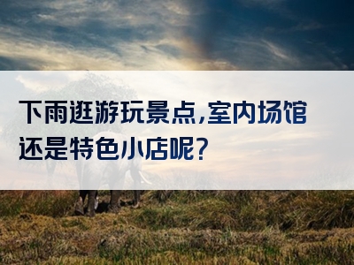 下雨逛游玩景点，室内场馆还是特色小店呢？