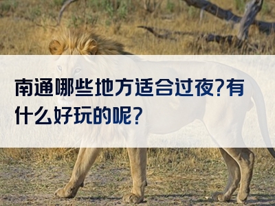 南通哪些地方适合过夜？有什么好玩的呢？
