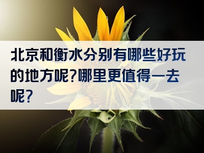 北京和衡水分别有哪些好玩的地方呢？哪里更值得一去呢？