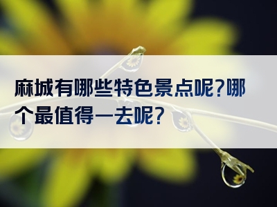 麻城有哪些特色景点呢？哪个最值得一去呢？