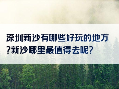 深圳新沙有哪些好玩的地方？新沙哪里最值得去呢？