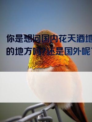 你是想问国内花天酒地好玩的地方吗？还是国外呢？