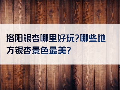 洛阳银杏哪里好玩？哪些地方银杏景色最美？