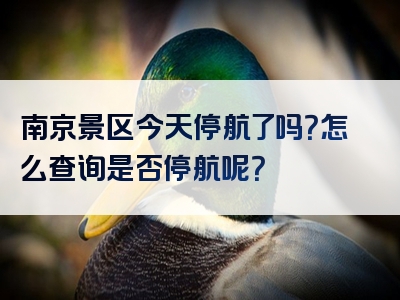 南京景区今天停航了吗？怎么查询是否停航呢？