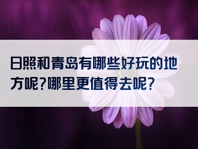 日照和青岛有哪些好玩的地方呢？哪里更值得去呢？