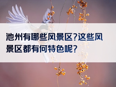 池州有哪些风景区？这些风景区都有何特色呢？