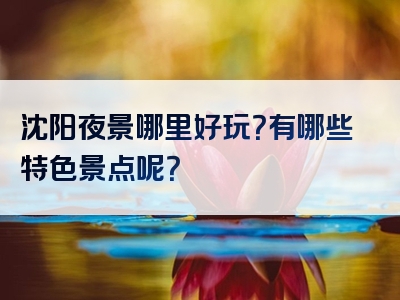 沈阳夜景哪里好玩？有哪些特色景点呢？