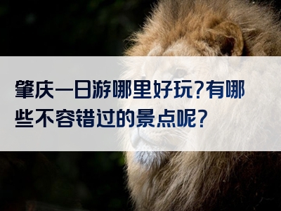 肇庆一日游哪里好玩？有哪些不容错过的景点呢？