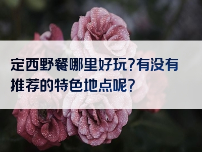 定西野餐哪里好玩？有没有推荐的特色地点呢？