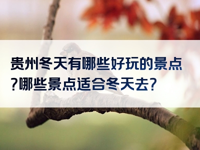 贵州冬天有哪些好玩的景点？哪些景点适合冬天去？