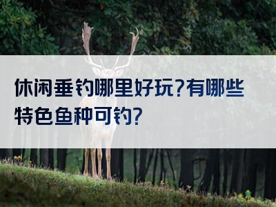 休闲垂钓哪里好玩？有哪些特色鱼种可钓？