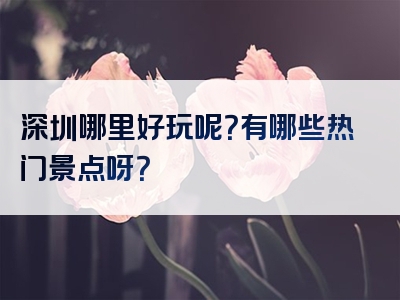 深圳哪里好玩呢？有哪些热门景点呀？