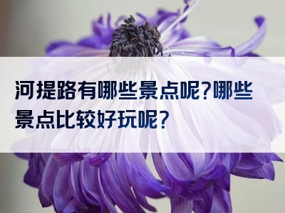 河提路有哪些景点呢？哪些景点比较好玩呢？