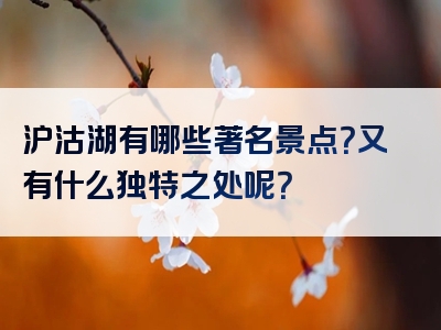 沪沽湖有哪些著名景点？又有什么独特之处呢？