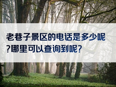 老巷子景区的电话是多少呢？哪里可以查询到呢？