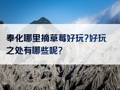 奉化哪里摘草莓好玩？好玩之处有哪些呢？