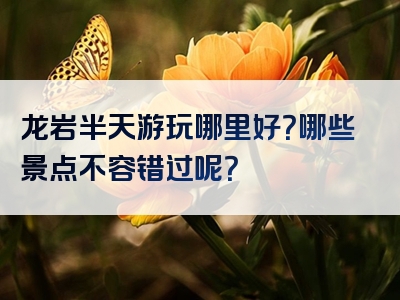 龙岩半天游玩哪里好？哪些景点不容错过呢？