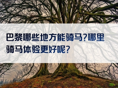 巴黎哪些地方能骑马？哪里骑马体验更好呢？