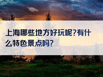上海哪些地方好玩呢？有什么特色景点吗？