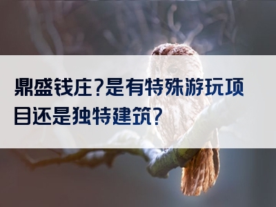 鼎盛钱庄？是有特殊游玩项目还是独特建筑？