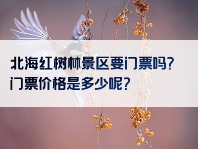 北海红树林景区要门票吗？门票价格是多少呢？