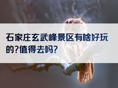 石家庄玄武峰景区有啥好玩的？值得去吗？