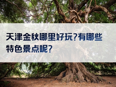 天津金秋哪里好玩？有哪些特色景点呢？