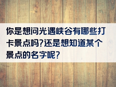 你是想问光遇峡谷有哪些打卡景点吗？还是想知道某个景点的名字呢？