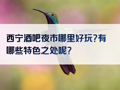 西宁酒吧夜市哪里好玩？有哪些特色之处呢？