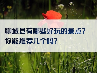 聊城县有哪些好玩的景点？你能推荐几个吗？