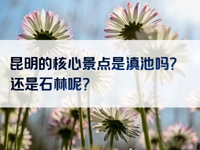 昆明的核心景点是滇池吗？还是石林呢？