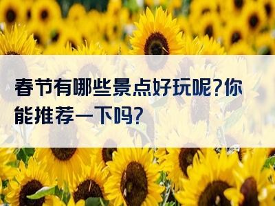 春节有哪些景点好玩呢？你能推荐一下吗？