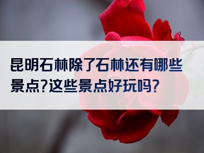 昆明石林除了石林还有哪些景点？这些景点好玩吗？